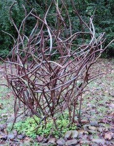 garden art made of bare shrub limbs