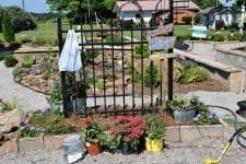 wrought iron gate leading into garden