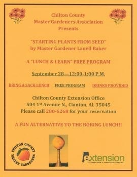 Lunch and Learn program presented by Lanell Baker