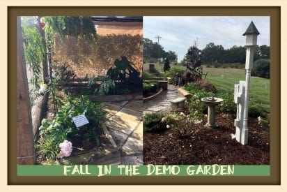 Collage of shade garden and birdhouse