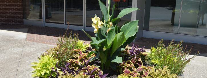 Athens Post Office Planters