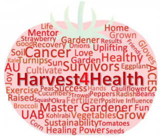 Harvest 4 Health word cloud in the shape of a tomato