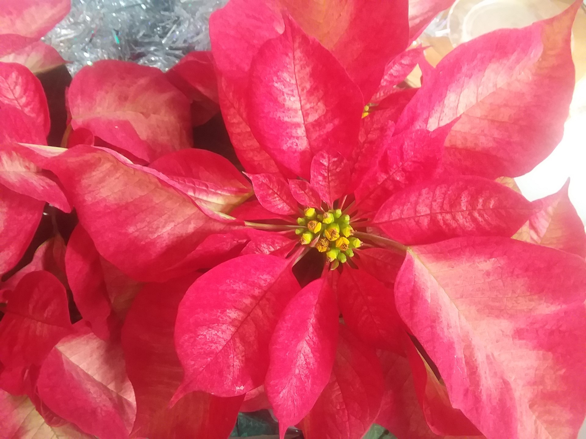 Autauga County Master Gardeners Autauga County Master Gardeners