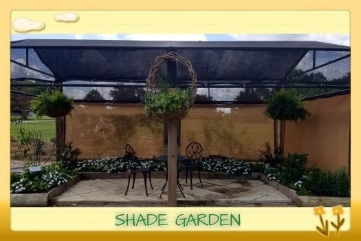 Shade Garden in Demo Garden