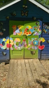 Colorful shed in garden