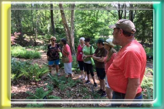 Tour guide talking to Master Gardeners about the ferns at Botanical gardens