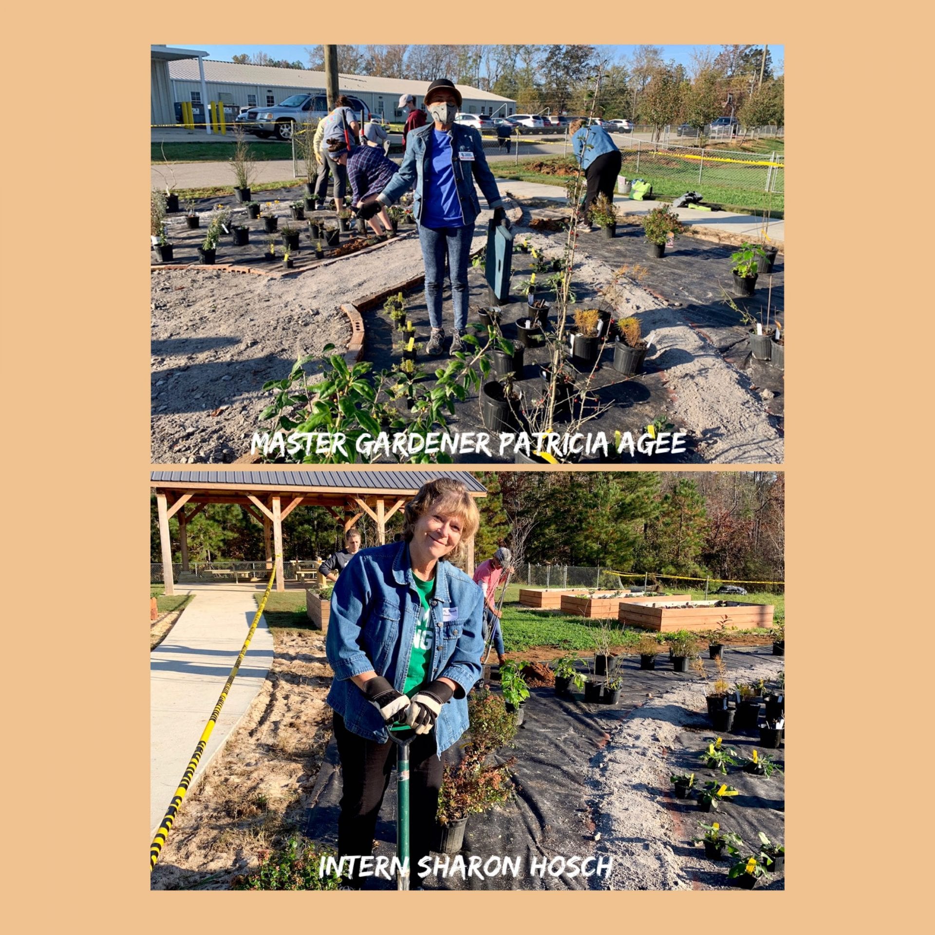 Workers at Jemison School