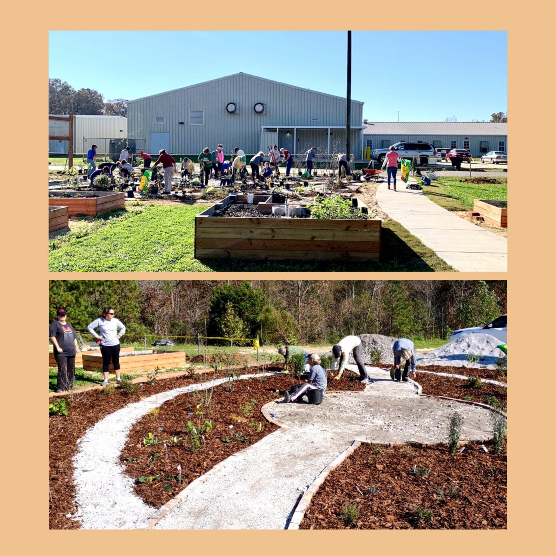 Volunteers at Jemison Discovery Center