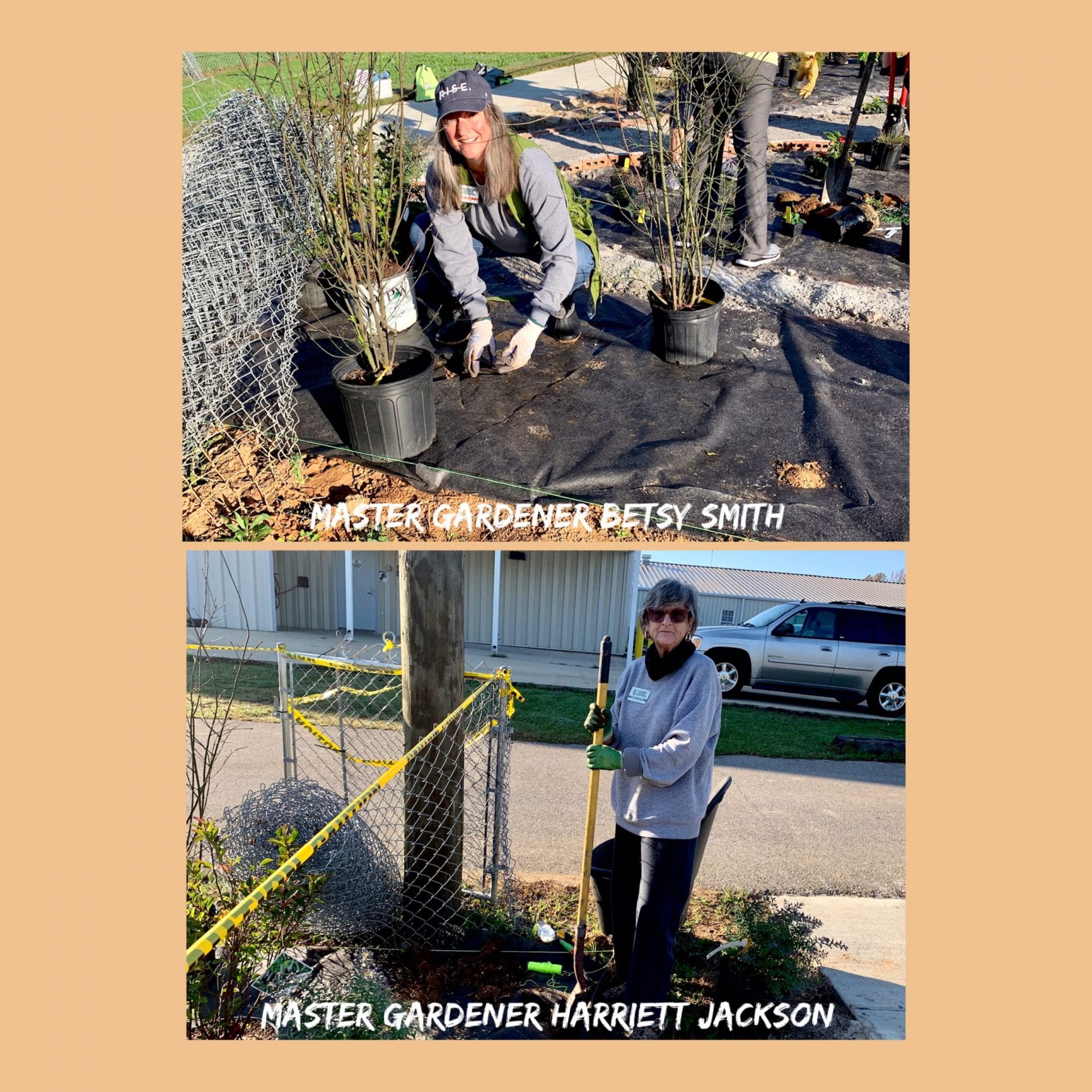 Volunteers at Jemison Discovery Center