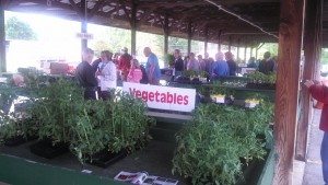 2015 Limestone County MG Plant Sale